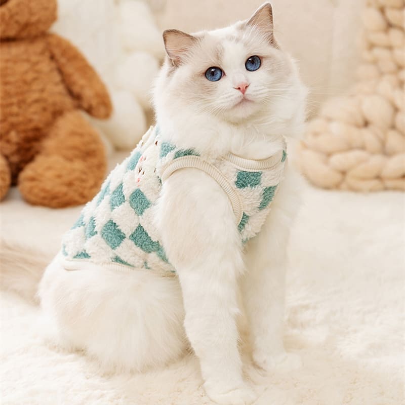 Suéter Xadrez Ursinho para Gatos | Roupa de Inverno para Pets Pequenos