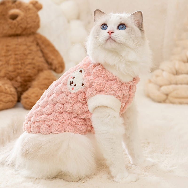 Suéter Xadrez Ursinho para Gatos | Roupa de Inverno para Pets Pequenos