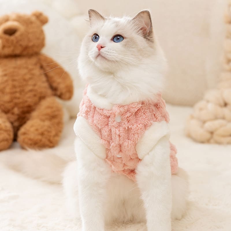 Suéter Xadrez Ursinho para Gatos | Roupa de Inverno para Pets Pequenos
