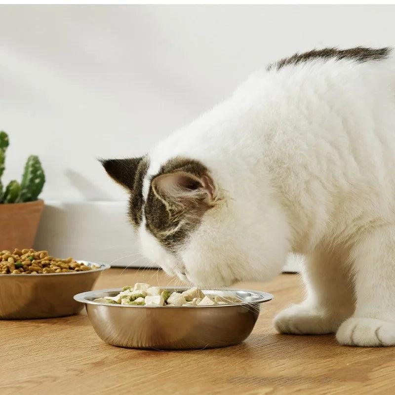 Comedouro Elevado Duplo em Madeira e Inox para Gatos