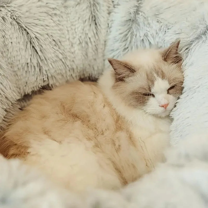 Toca Túnel de Pelúcia para Gatos