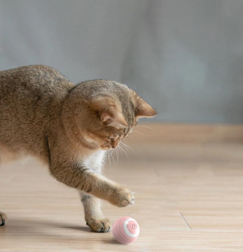 Bola Interativa Inteligente para Gatos