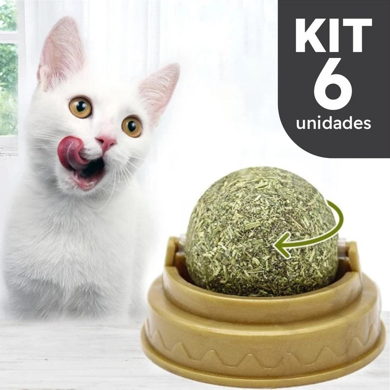 Erva de Gato - Bolinha de Catnip para Gatos (Kit com 6 unidades)