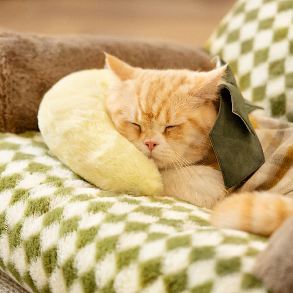 Sofá Vintage Diamond para Gatos | Cama Sofá Estilo Retrô e Aconchegante